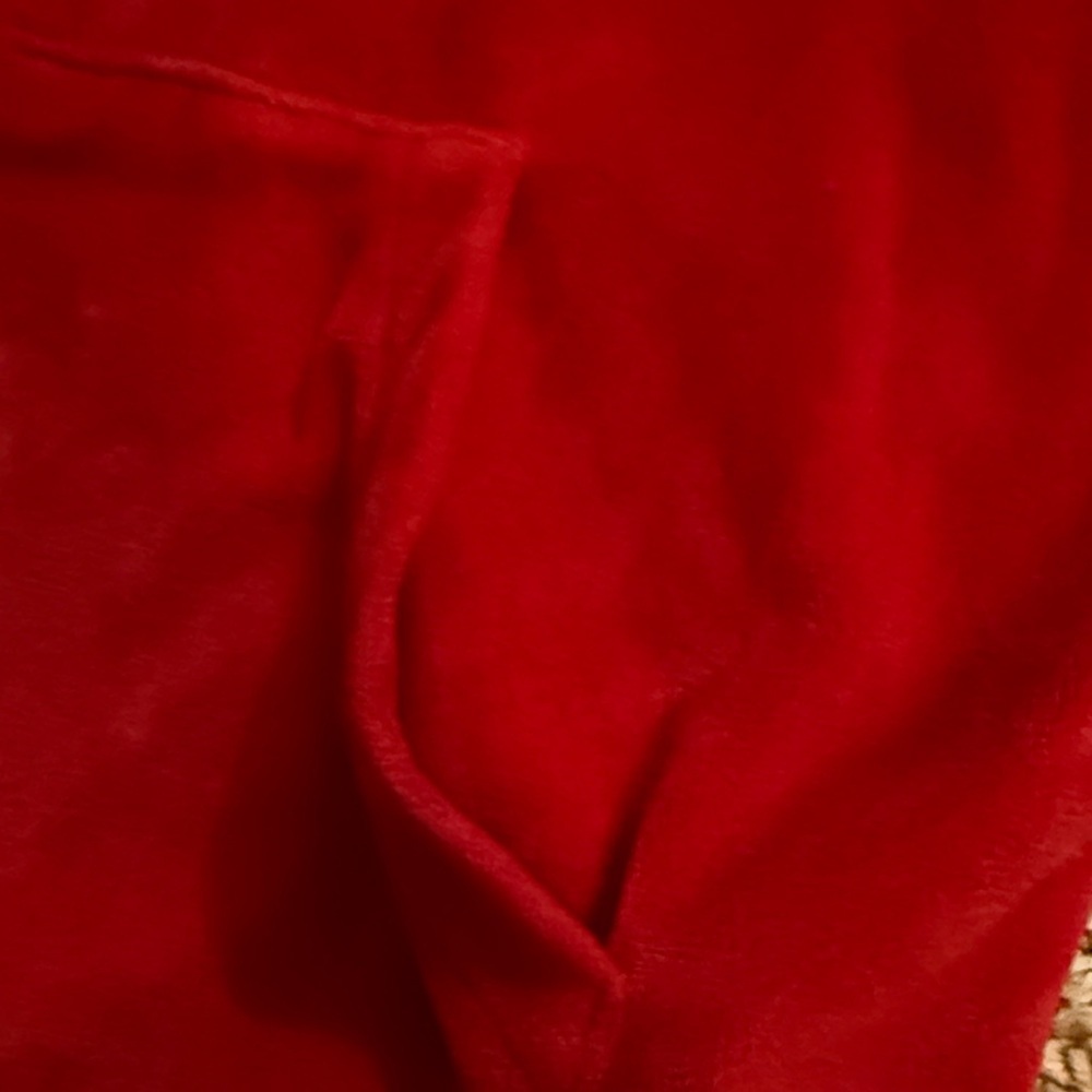 Jordan velvet Hoodie with Black Logo - Picture 4 of 5